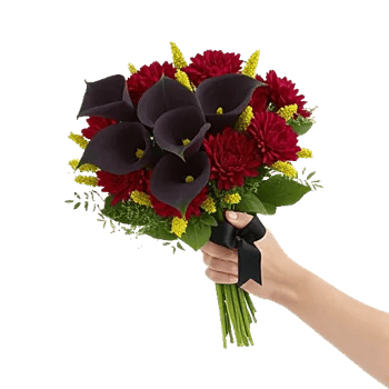 Elegant Calla Lilies