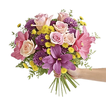 Petal Grace Harmony
