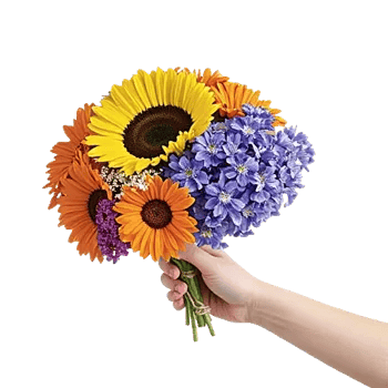 Twinkling Sunflower Dance