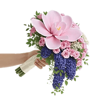 Delicate Petal Cascade