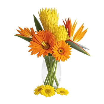 Petal Radiance Bliss