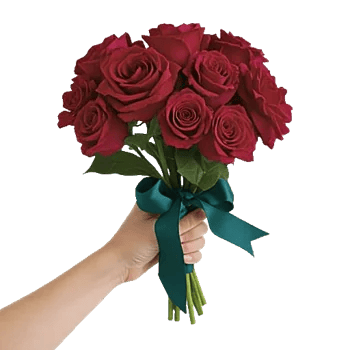 Crimson Rose Elegance