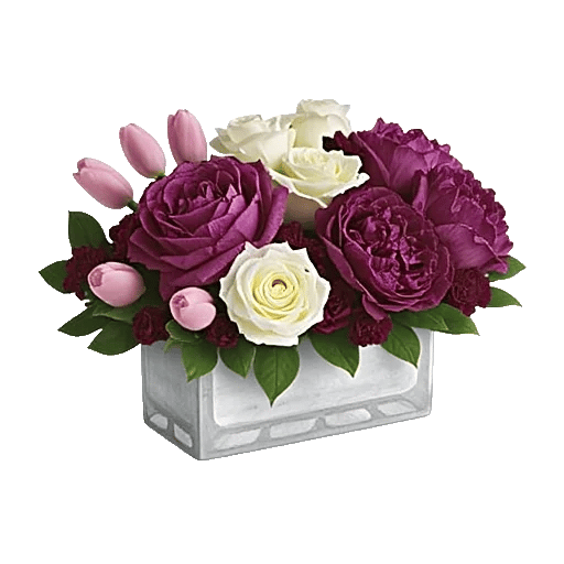 Velvet Tulip Display