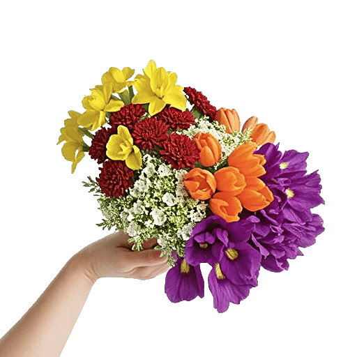 Blossom Harmony Display