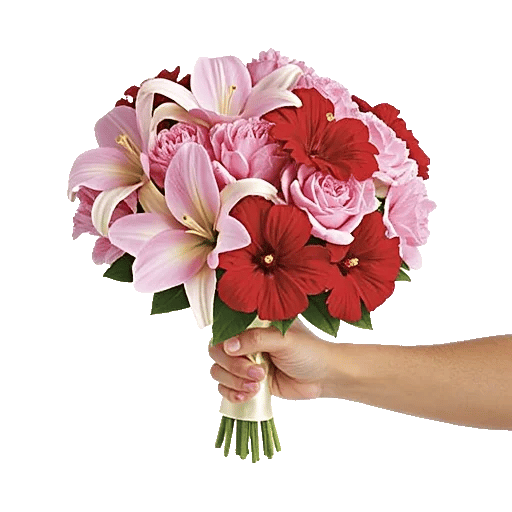 Blossom Harmony Display