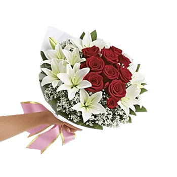 Crimson Rose Elegance