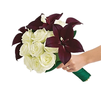 Elegant Calla Lilies