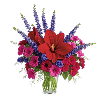 Crimson Blossom Harmony