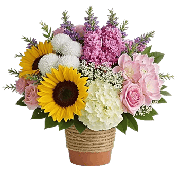 Amber Sunflower Glow