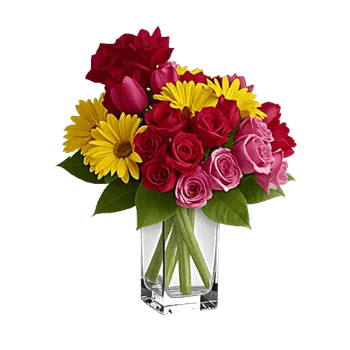 Petal Radiance Bliss