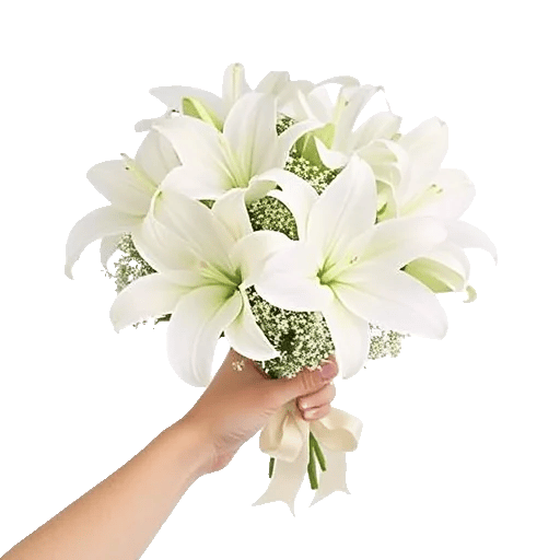 Minimalist White Orchids