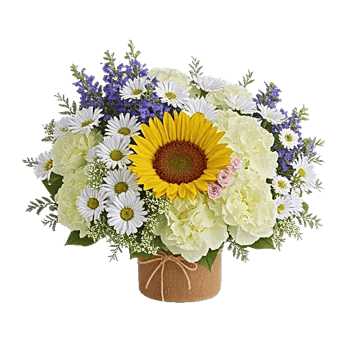 Amber Sunflower Glow