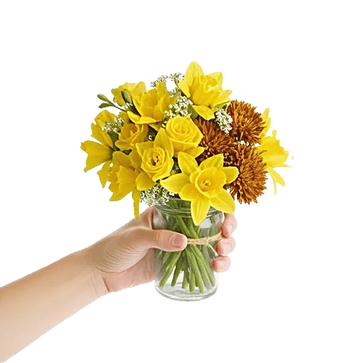 Tulip Rose Mix