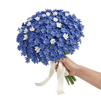 Elegant Blue Roses
