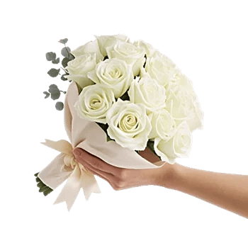 Ivory Garden Grace