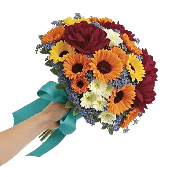 Delicate Petal Cascade