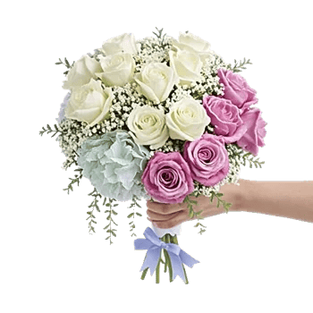 Serene Petal Harmony