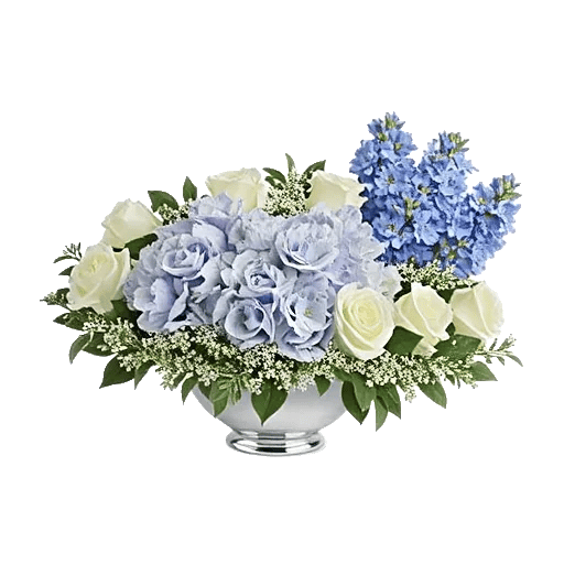 Sapphire Bloom Whisper