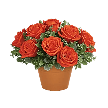 Blush Romantic Centerpiece