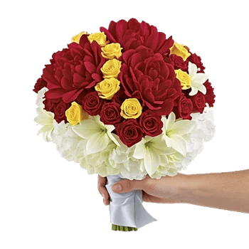 Peony Petal Harmony
