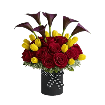 Elegant Calla Lilies