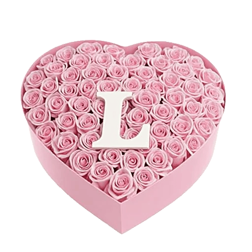 Blushing Rose Symphony