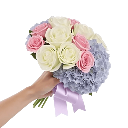 Blushing Rose Symphony