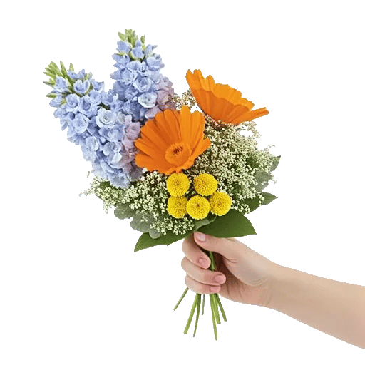 Blossom Petal Serenity