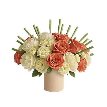 Petal Radiance Bliss