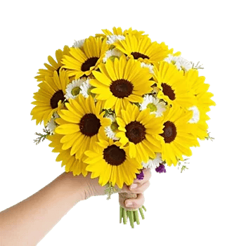 Petal Harmony Bliss