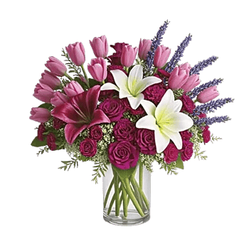 Velvet Tulip Display