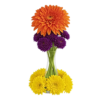 Radiant Bloom Cascade