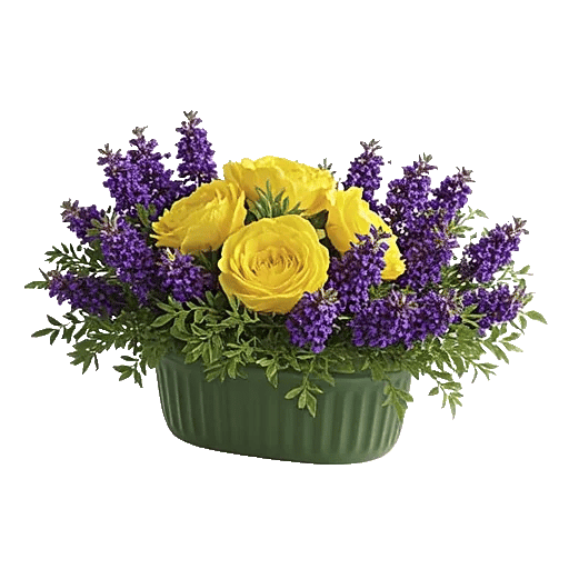 Delicate Petal Cascade