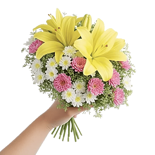 Blossom Harmony Display