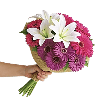 Graceful Lily Display