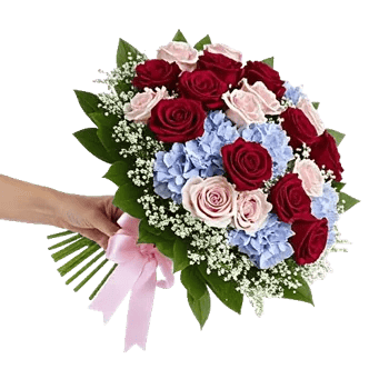 Blushing Rose Symphony