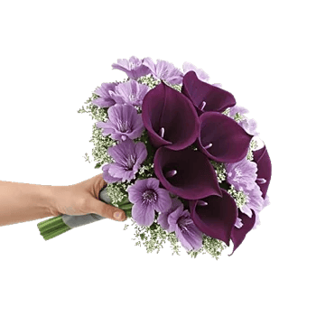 Elegant Calla Lilies