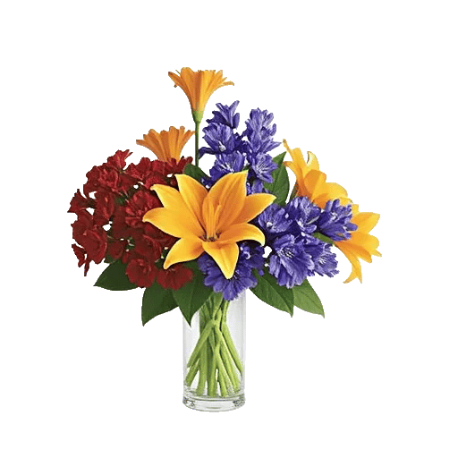 Petal Radiance Bliss