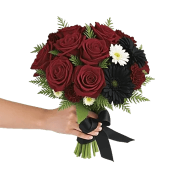 Crimson Rose Elegance