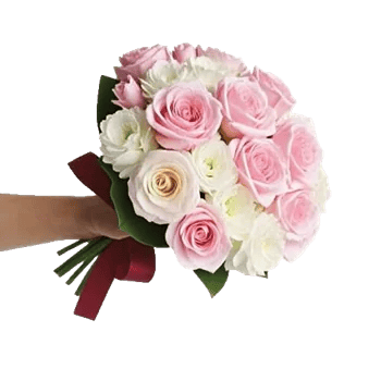 Pastel Pink Roses