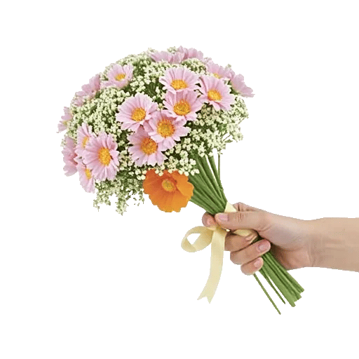 Blossom Harmony Display