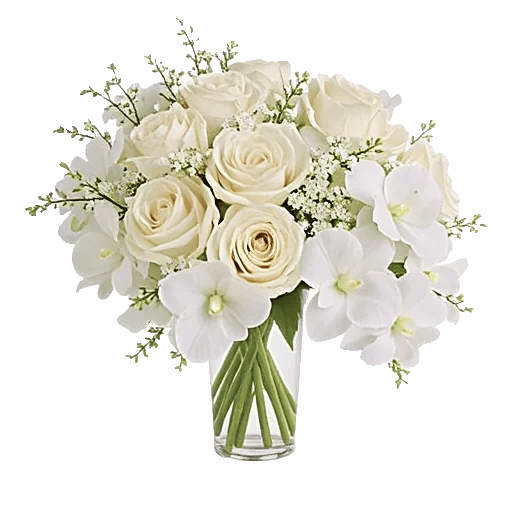 Ivory Blossom Radiance