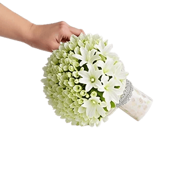 Delicate Petal Cascade