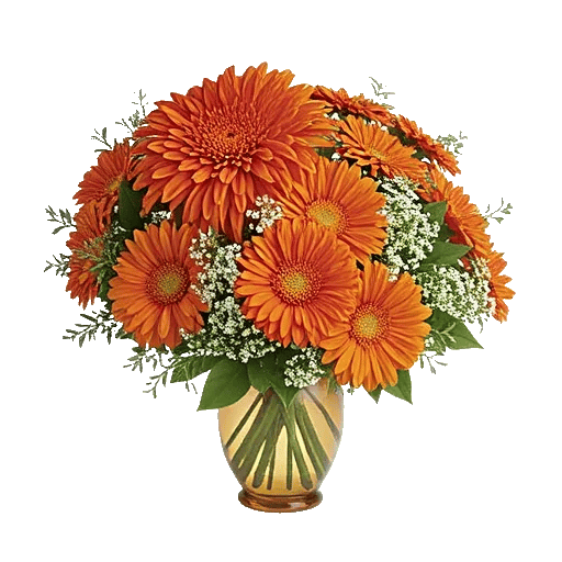 Radiant Bloom Cascade