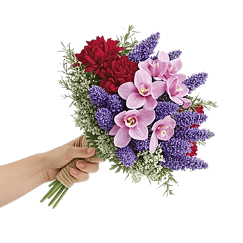 Petal Grace Harmony