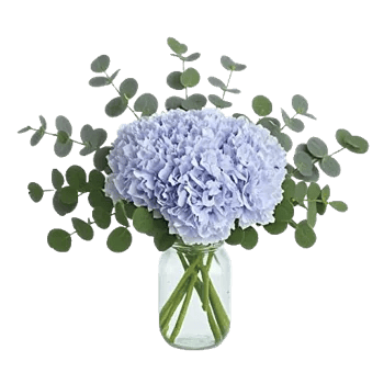 Sapphire Bloom Whisper