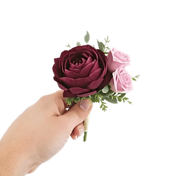 Plum Blossom Radiance