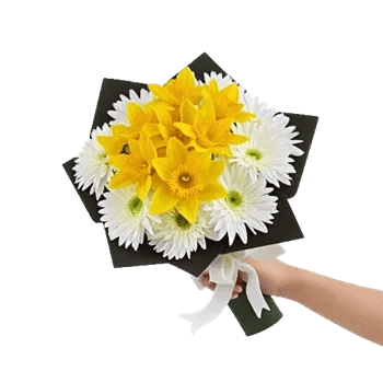 Blossom Harmony Display