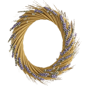 Lavender Bloom Grace