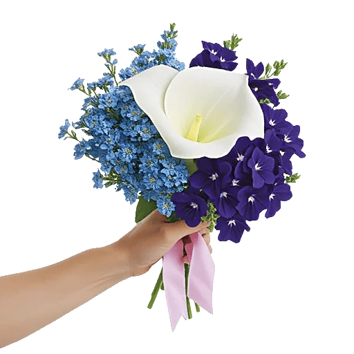 Elegant Calla Lilies